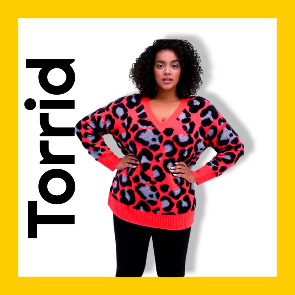 NWT Torrid V-neck Sweater